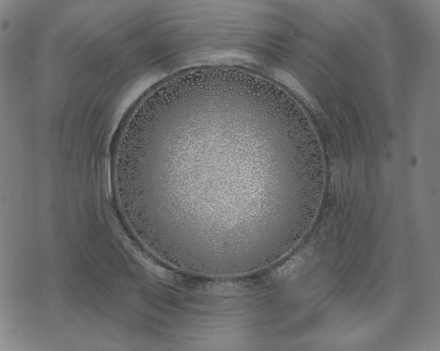 X0000072491079200607211218
