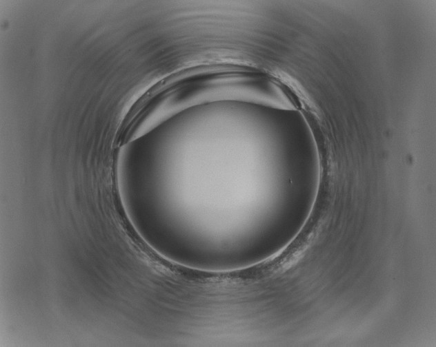 X0000072491081200607211218