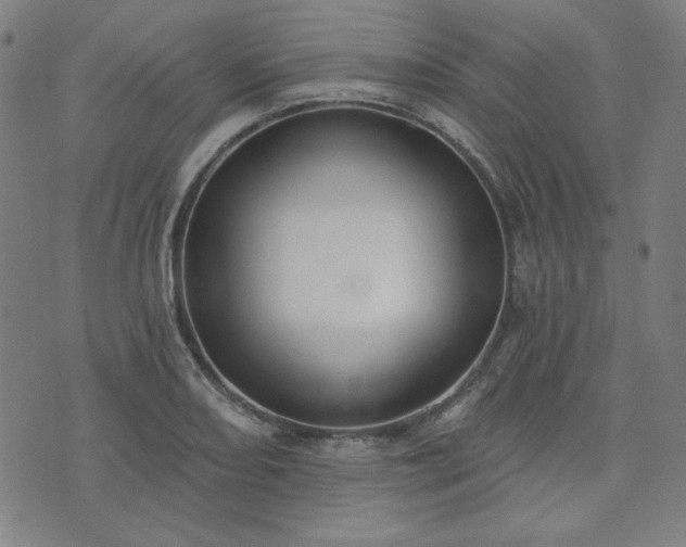 X0000072491082200607211218