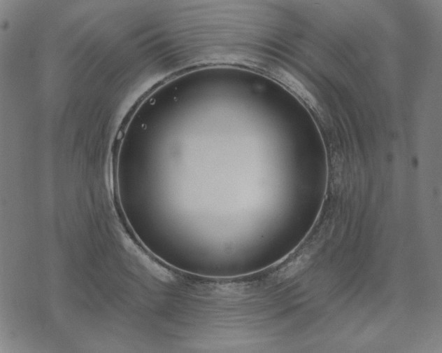 X0000072491084200607211218