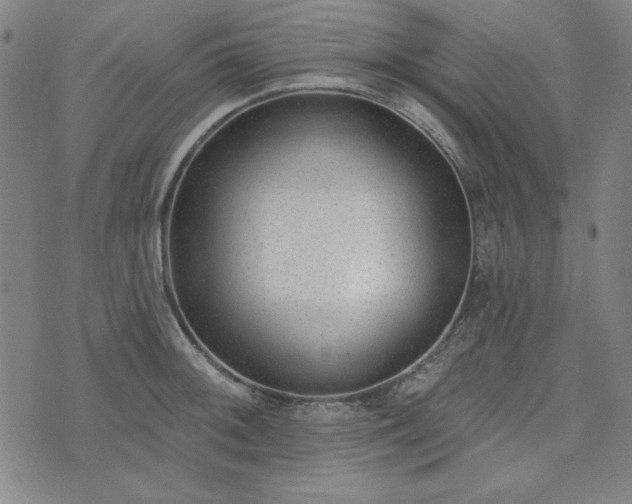 X0000072491092200607211218