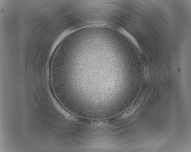 X0000072491099200607211218