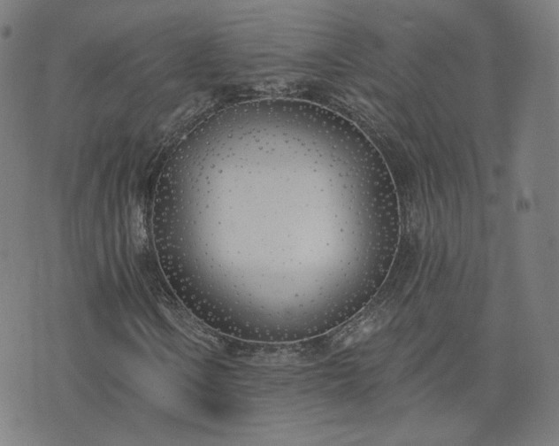 X0000072491106200607211217