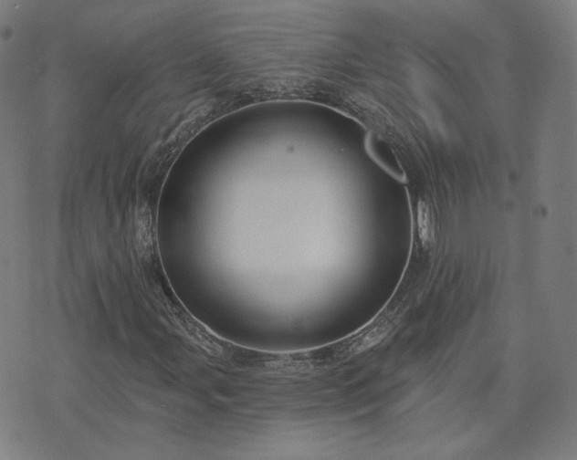 X0000072491107200607211217