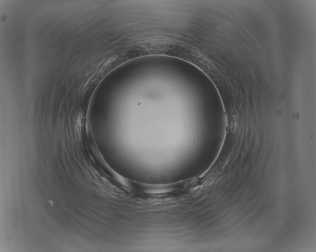 X0000072491108200607211217