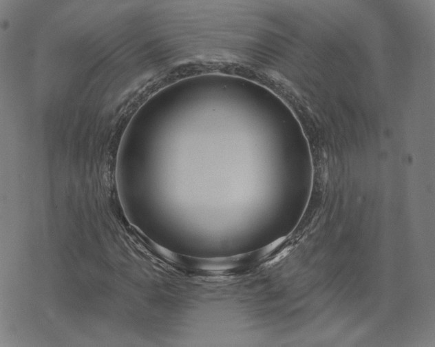 X0000072491110200607211217