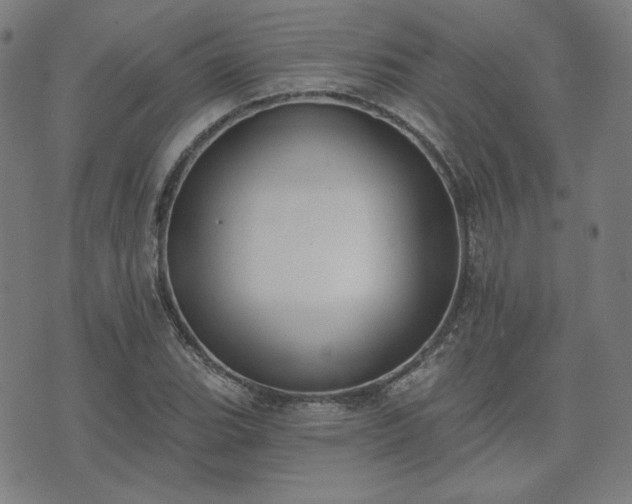 X0000072491119200607211217