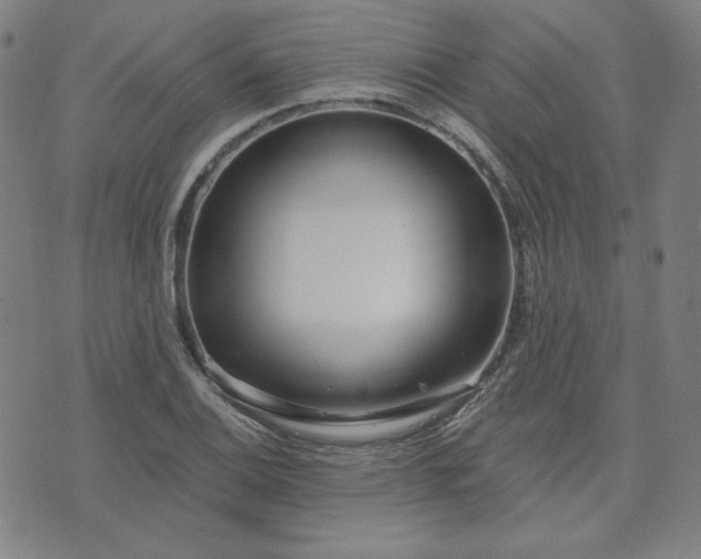 X0000072491124200607211217