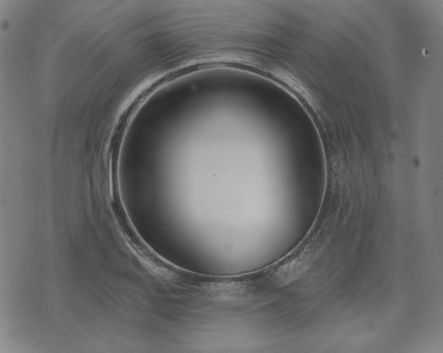 X0000072491127200607211217