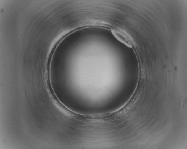 X0000072491136200607211217