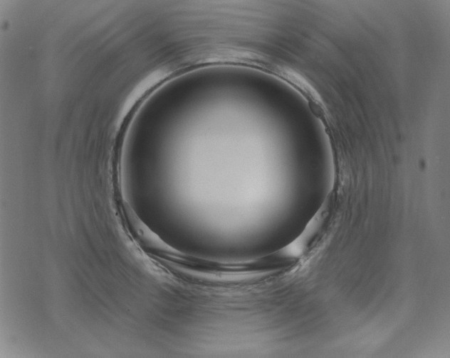 X0000072491138200607211217