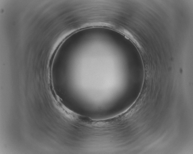 X0000072491140200607211217