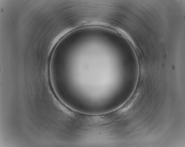 X0000072491149200607211217