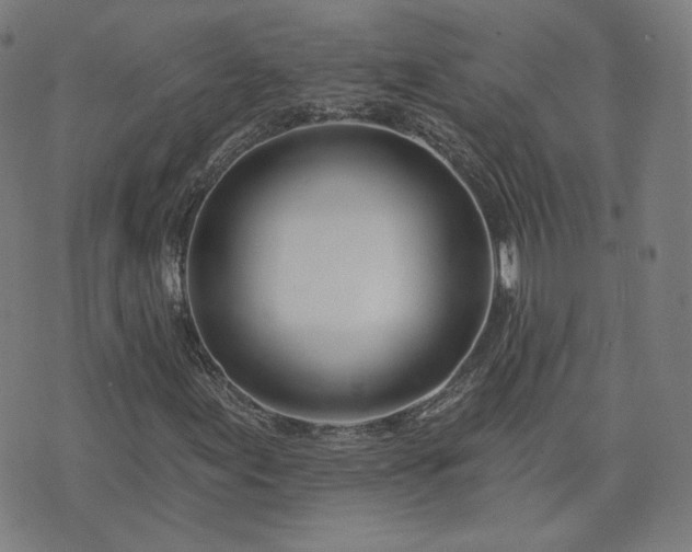 X0000072491155200607211217