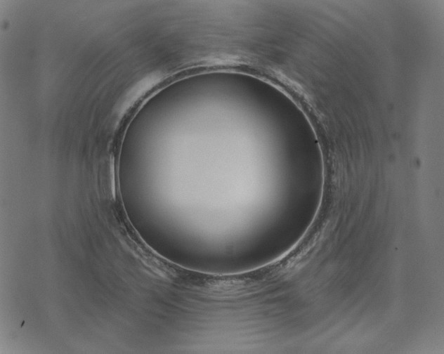 X0000072491171200607211216