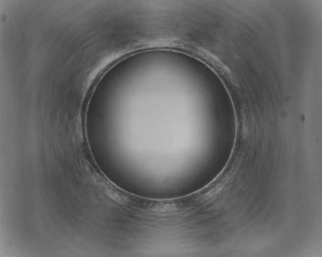 X0000072491174200607211216