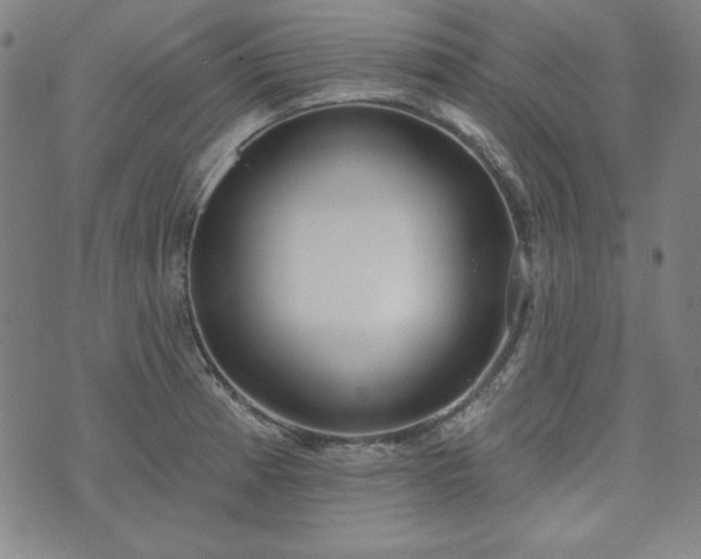 X0000072491185200607211216