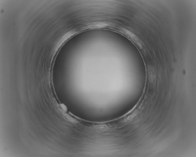 X0000072491186200607211216