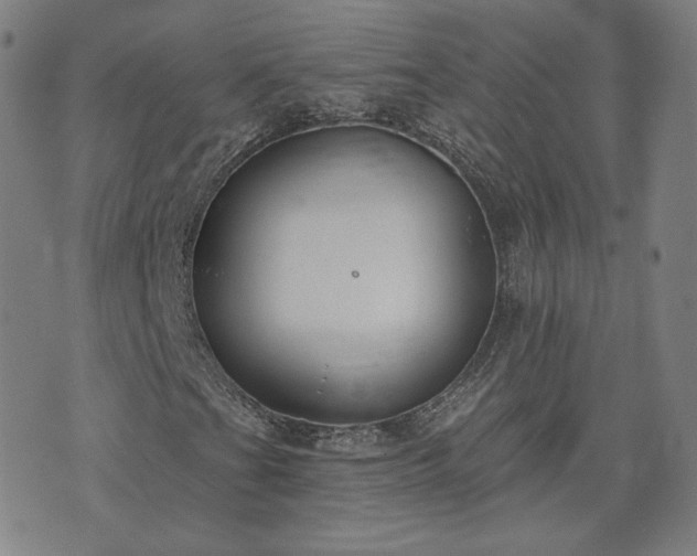 X0000072491201200607211215