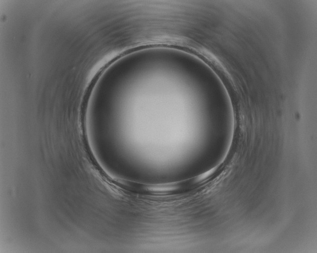 X0000072491230200607211216