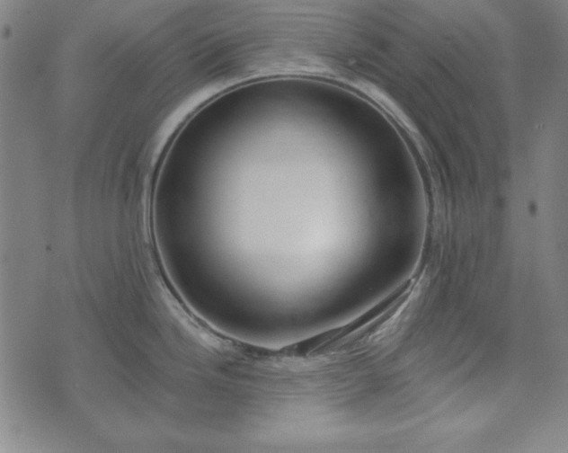 X0000072491246200607211216