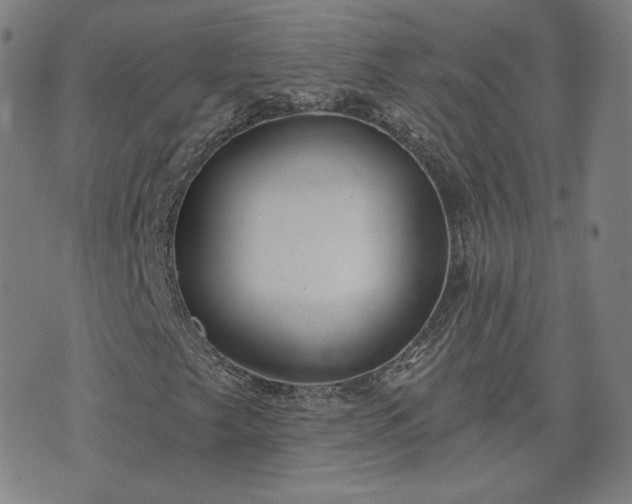 X0000072491249200607211215