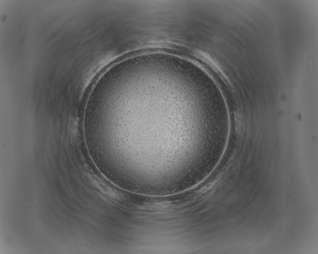 X0000072491260200607211215
