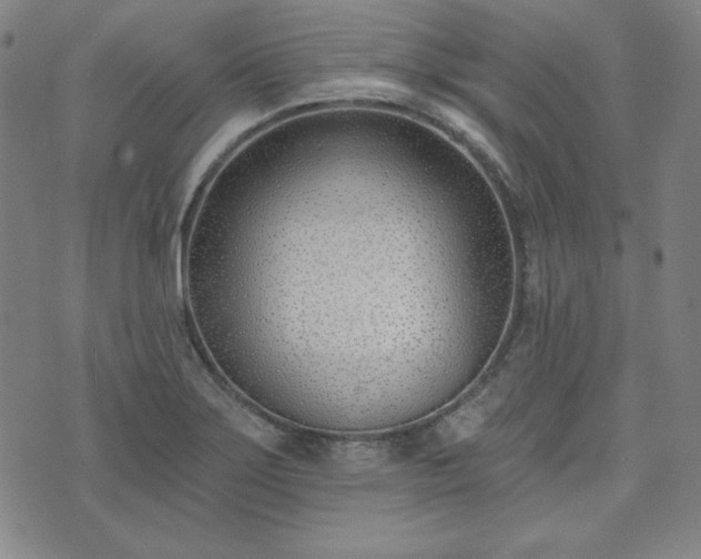 X0000072491275200607211215