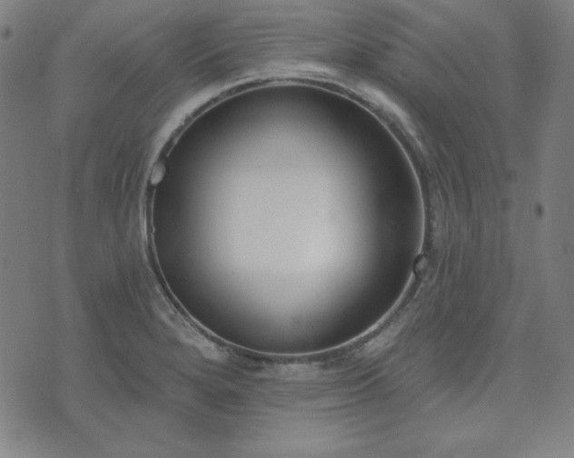 X0000072491280200607211215