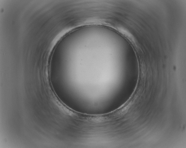 X0000072491288200607211215