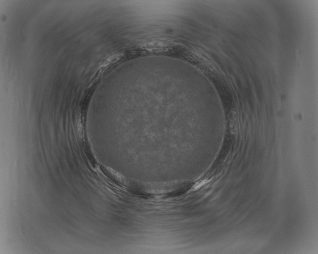 X0000072491298200607211214