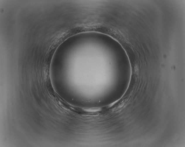 X0000072491300200607211214