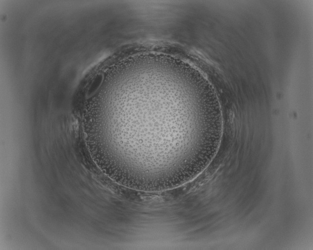 X0000072491302200607211214