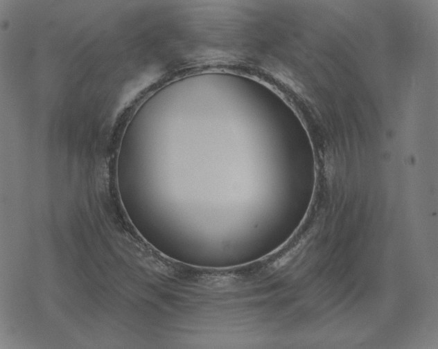 X0000072491309200607211214
