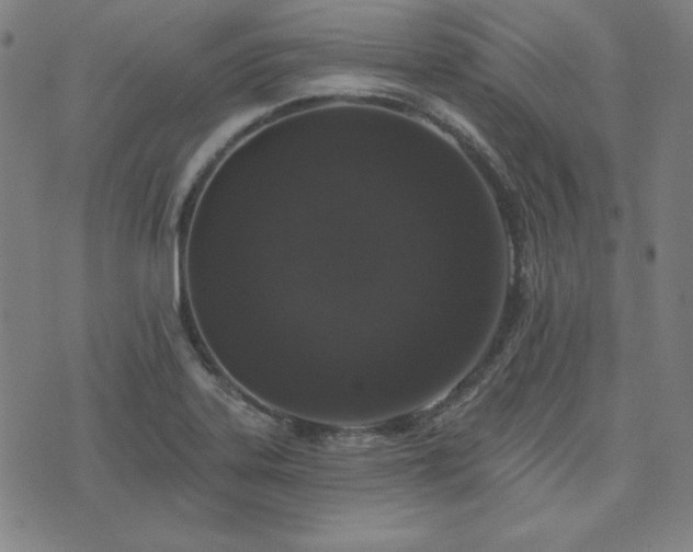 X0000072491323200607211214