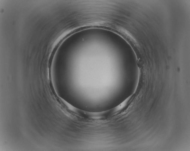 X0000072491324200607211214