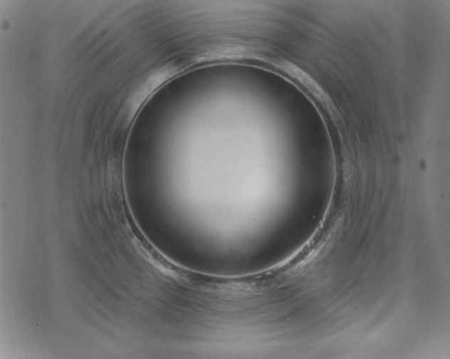 X0000072491337200607211214