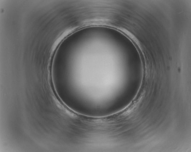 X0000072491341200607211214