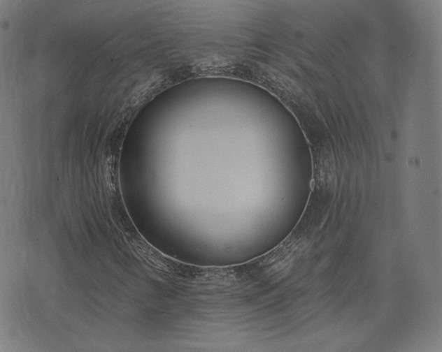 X0000072491346200607211214