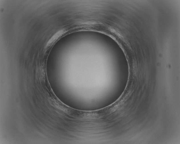 X0000072491354200607211213