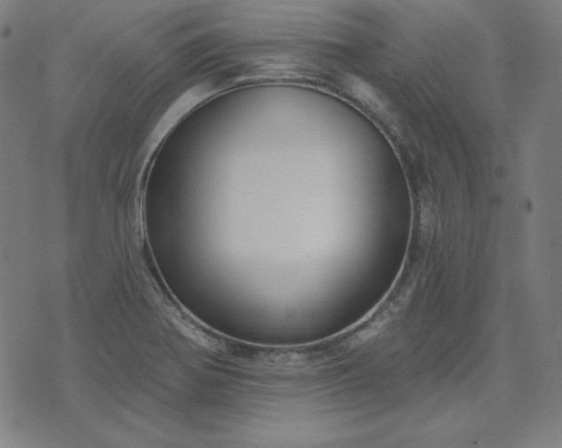 X0000072491370200607211213