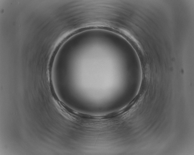 X0000072491372200607211213