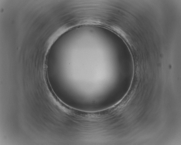 X0000072491379200607211213