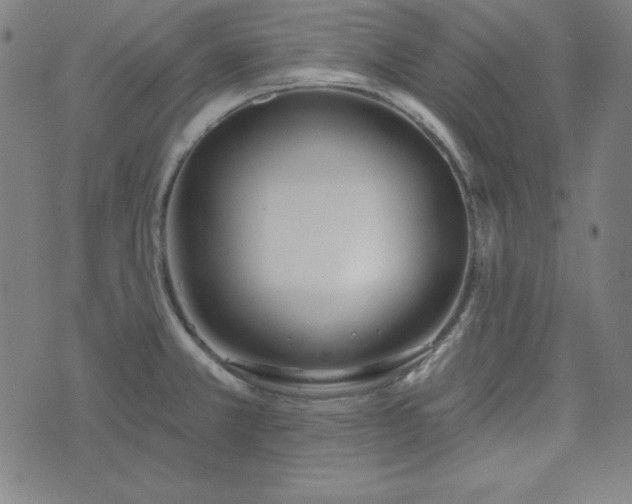 X0000072491381200607211213