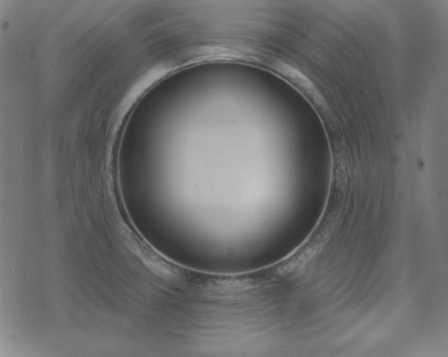 X0000072491427200607211213