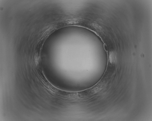 X0000072491444200607211212
