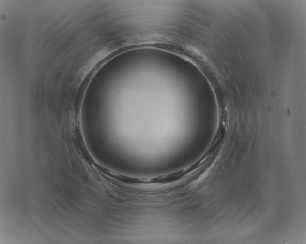 X0000072491457200607211212
