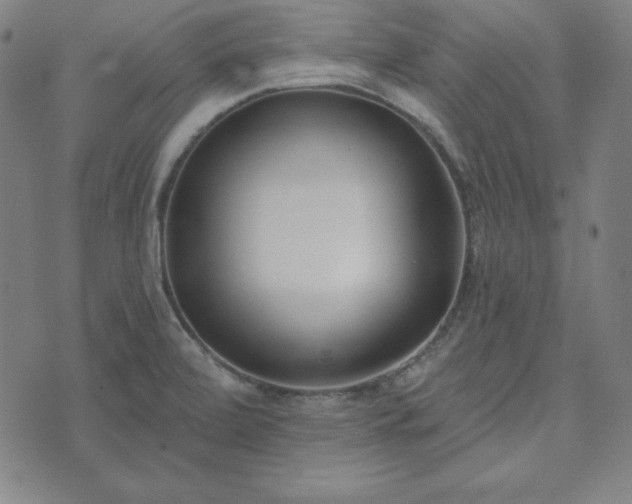 X0000072491472200607211212