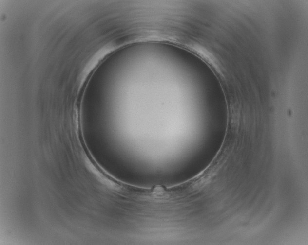 X0000072491476200607211211