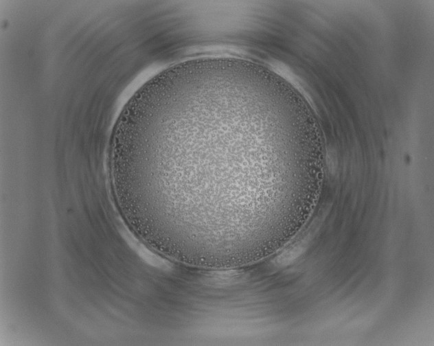 X0000072491482200607211211